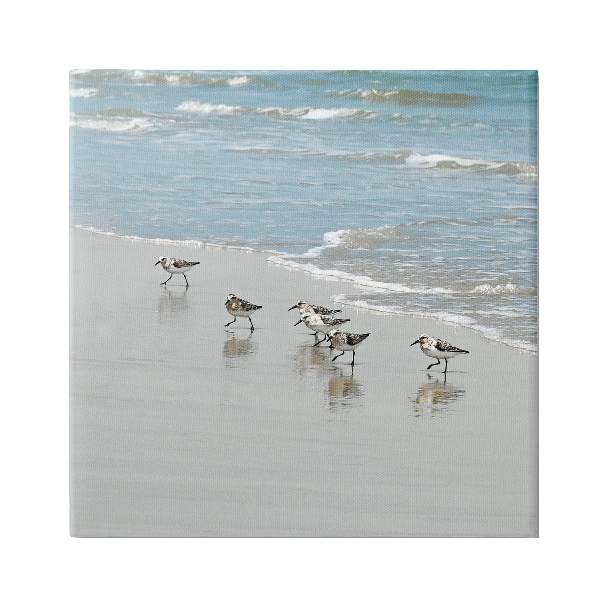 Stupell Industries Sandpipers on Shore Reflection Coastal Painting Gallery Wrapped Canvas Print Wall Art