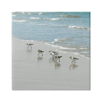 Stupell Industries Sandpipers on Shore Reflection Coastal Painting Gallery Wrapped Canvas Print Wall Art