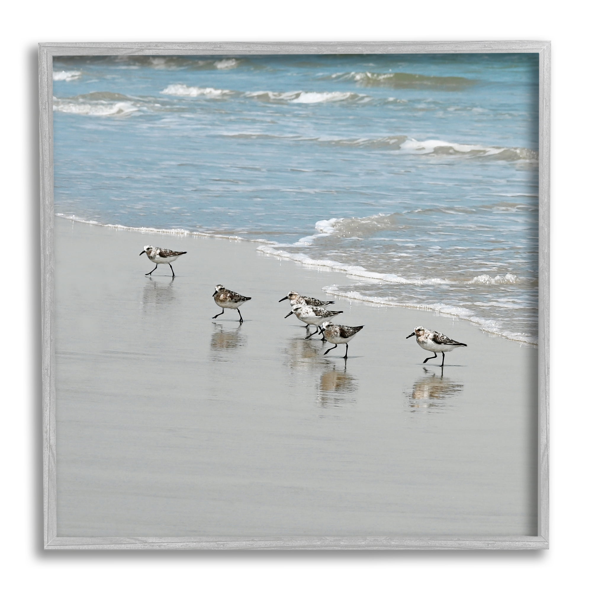 Stupell Industries Sandpipers on Shore Reflection Coastal Painting Gray Framed Art Print Wall Art