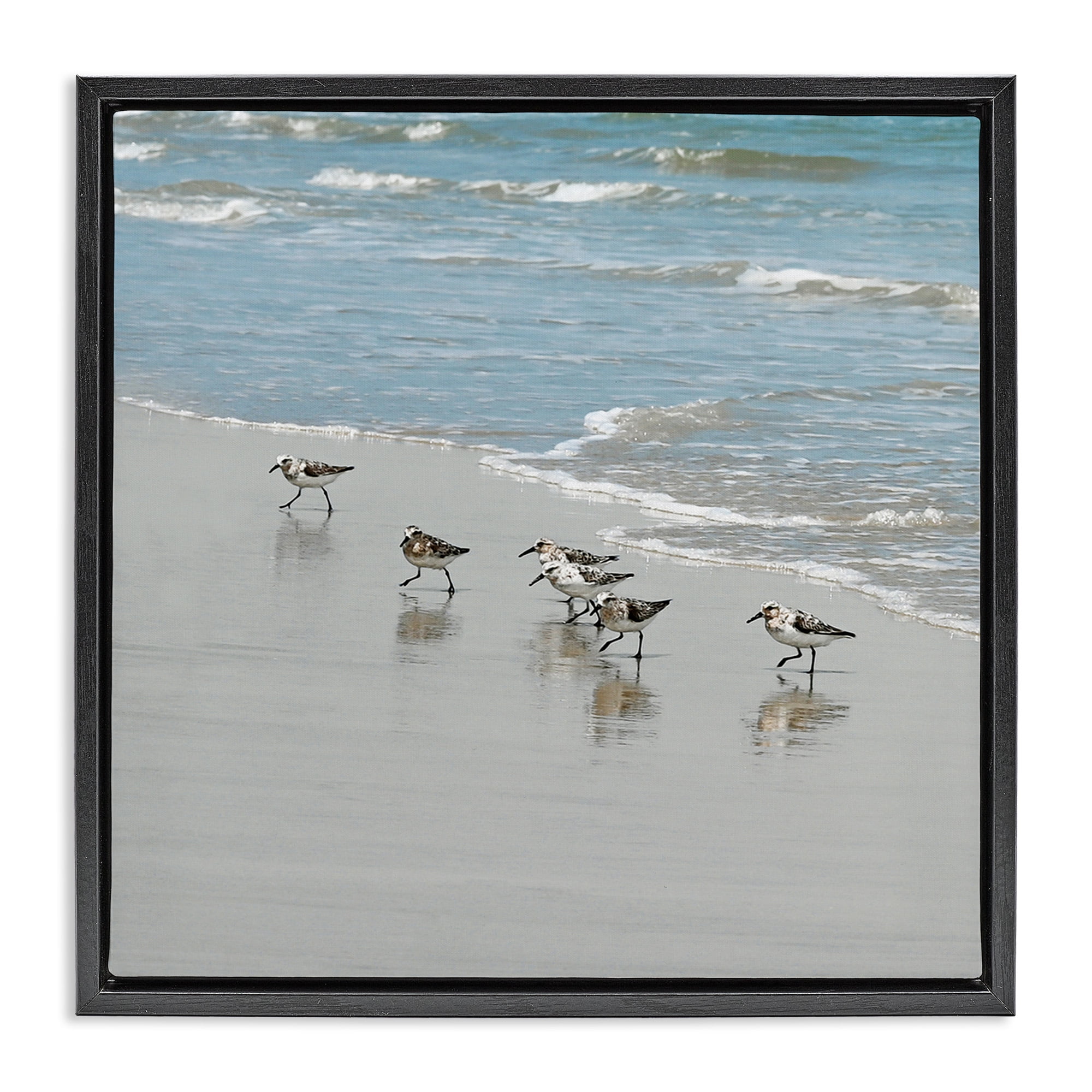 Stupell Industries Sandpipers on Shore Reflection Nature Painting Black Floater Framed Canvas Art Print Wall Art, 25 x 25