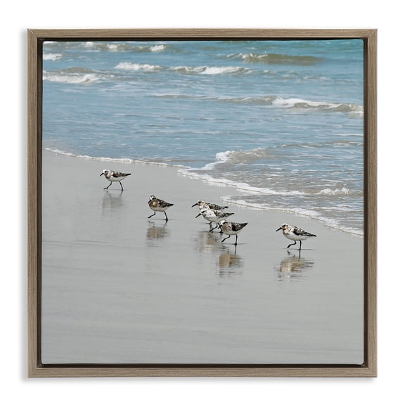 Stupell Industries Sandpipers on Shore Reflection Nature Painting Brown Floater Framed Canvas Art Print Wall Art, 25 x 25
