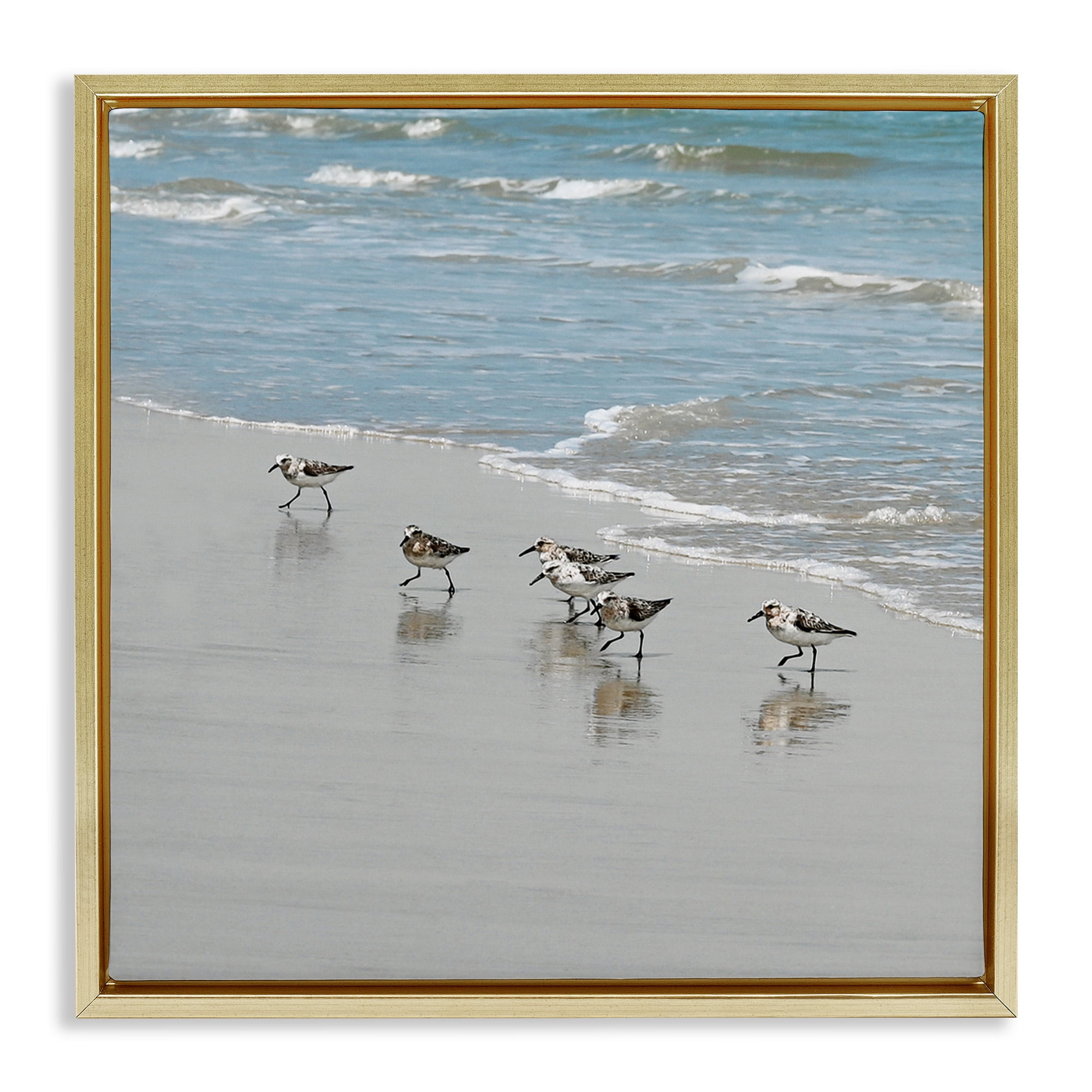 Stupell Industries Sandpipers on Shore Reflection Nature Painting Gold Floater Framed Canvas Art Print Wall Art, 18 x 18