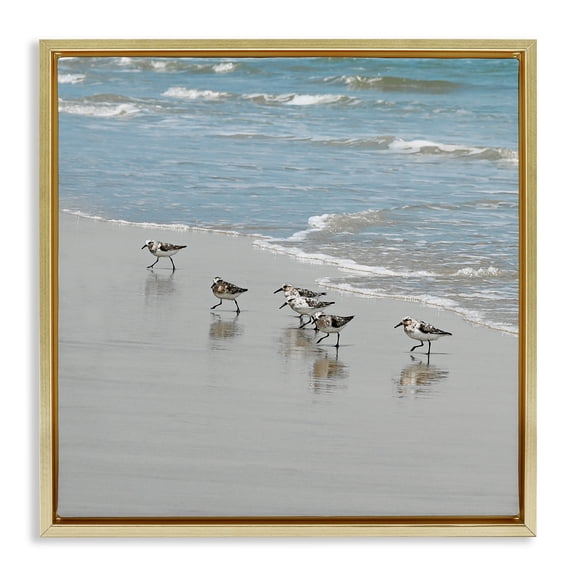 Stupell Industries Sandpipers on Shore Reflection Nature Painting Gold Floater Framed Canvas Art Print Wall Art, 25 x 25