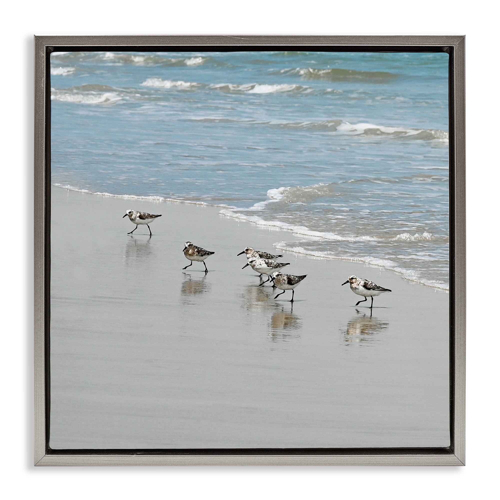 Stupell Industries Sandpipers on Shore Reflection Nature Painting Gray Floater Framed Canvas Art Print Wall Art, 18 x 18