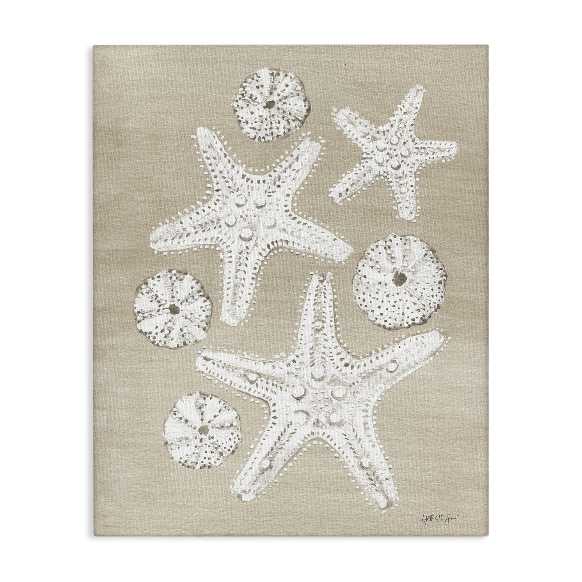 Stupell Industries Sandy Beach Treasures Coastal Painting Gallery Wrapped Canvas Art Print Wall Art, 16 x 20