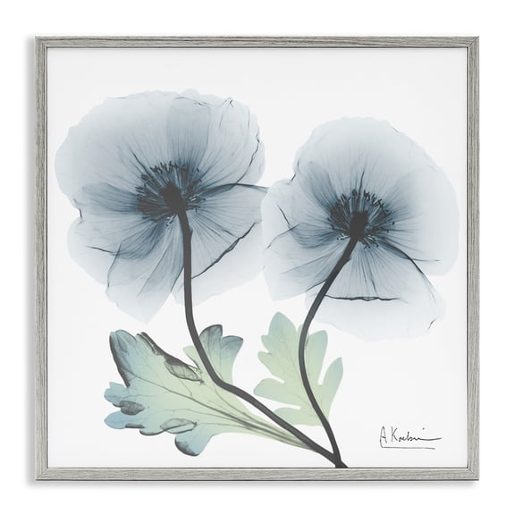 Stupell Industries Sapphire Florals Duo Floral Photography Gray Framed Art Print Wall Art, 24 x 24