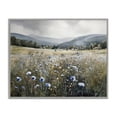 thumbnail image 1 of Stupell Industries Farmhouse Sapphire Speckled Fields Gray Framed Giclee Art, 14 x 11, by Franklyn Gregory, 1 of 8