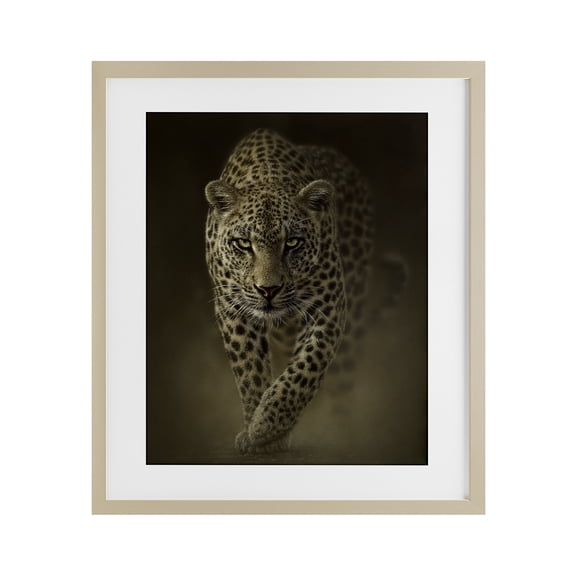 Stupell Industries Savage Leopard Predator Birch Framed Print Under Glass design by Collin Bogle, 16 x 13