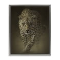 thumbnail image 1 of Stupell Industries Savage Leopard Predator Gray Framed Floater Canvas Wall Art design by Collin Bogle, 21 x 17, 1 of 9