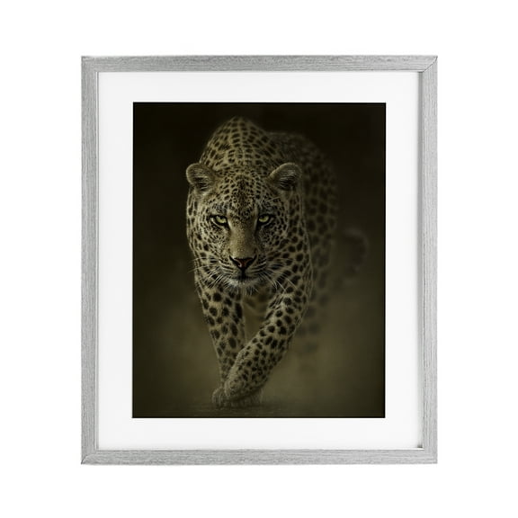Stupell Industries Savage Leopard Predator Gray Framed Print Under Glass design by Collin Bogle, 21 x 17