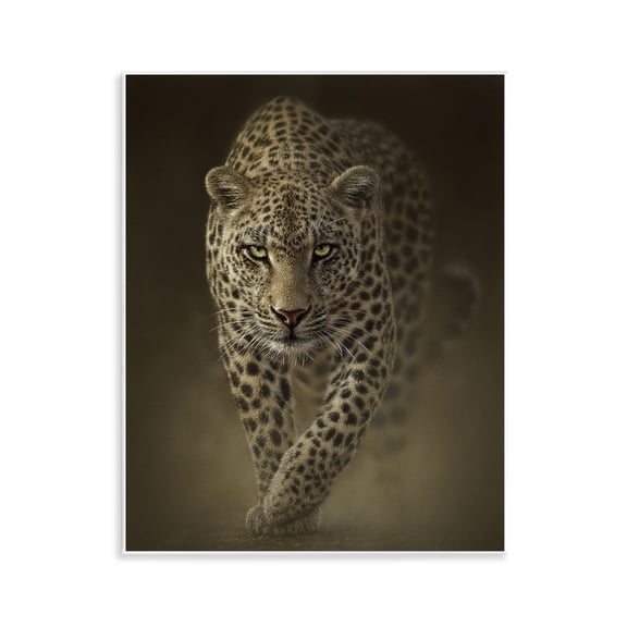 Stupell Industries Savage Leopard Predator Wall Plaque Art design by Collin Bogle, 14 x 11