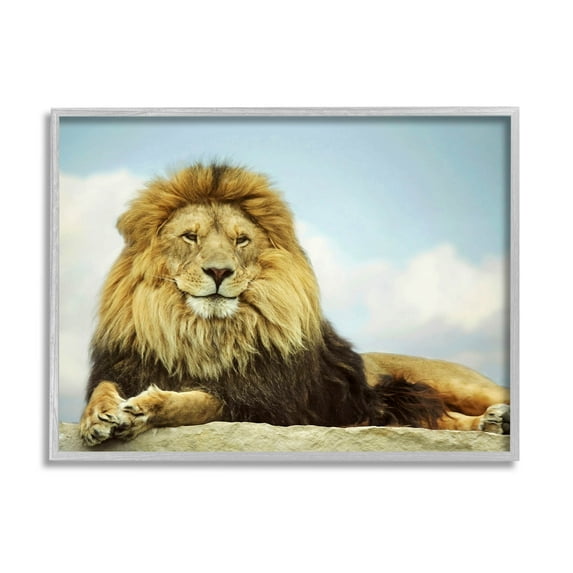 Stupell Industries Savanna Lion Photography Portrait Photograph Gray Framed Art Print Wall Art, Design by Carrie Ann Grippo-Pike