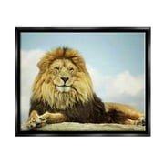 Stupell Industries Savanna Lion Photography Portrait Photograph Jet Black Floating Framed Canvas Print Wall Art, Design by Carrie Ann Grippo-Pike