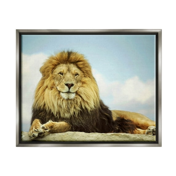 Stupell Industries Savanna Lion Photography Portrait Photograph Luster Gray Floating Framed Canvas Print Wall Art, Design by Carrie Ann Grippo-Pike