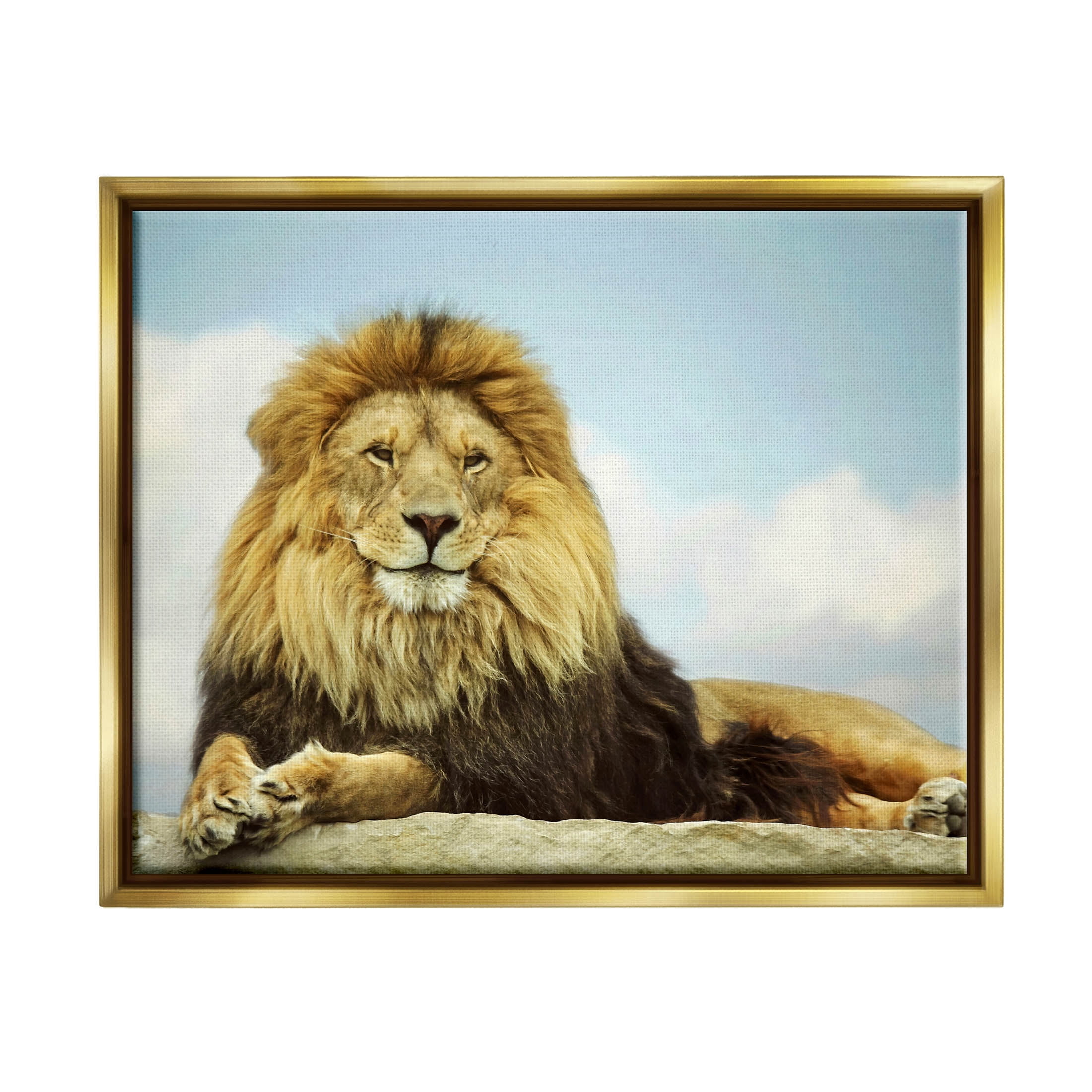 Stupell Industries Savanna Lion Photography Portrait Photograph Metallic Gold Floating Framed Canvas Print Wall Art, Design by Carrie Ann Grippo-Pike