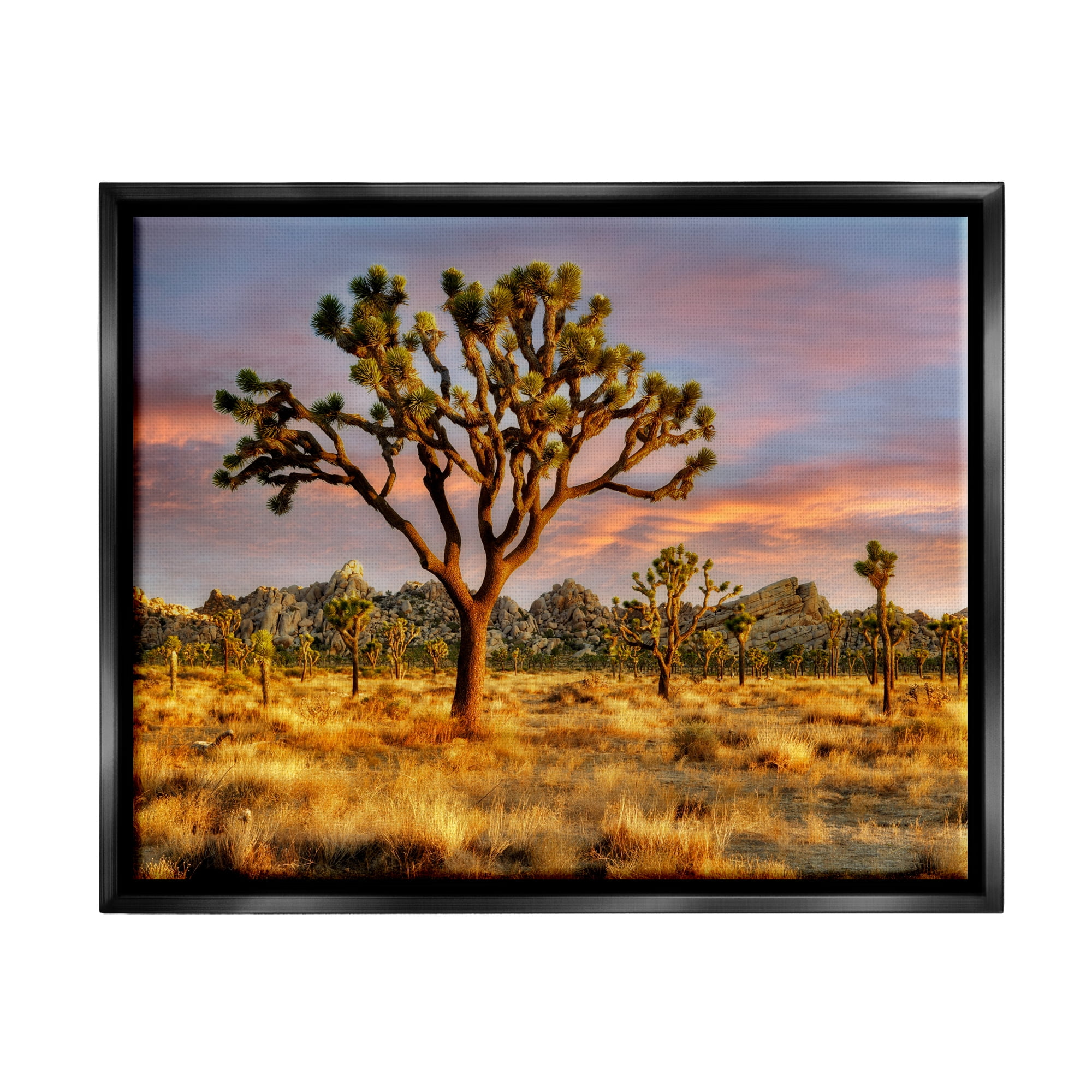 Stupell Industries Savanna Trees Photography Nature Photography Black Floater Framed Art Print Wall Art, 31 x 25