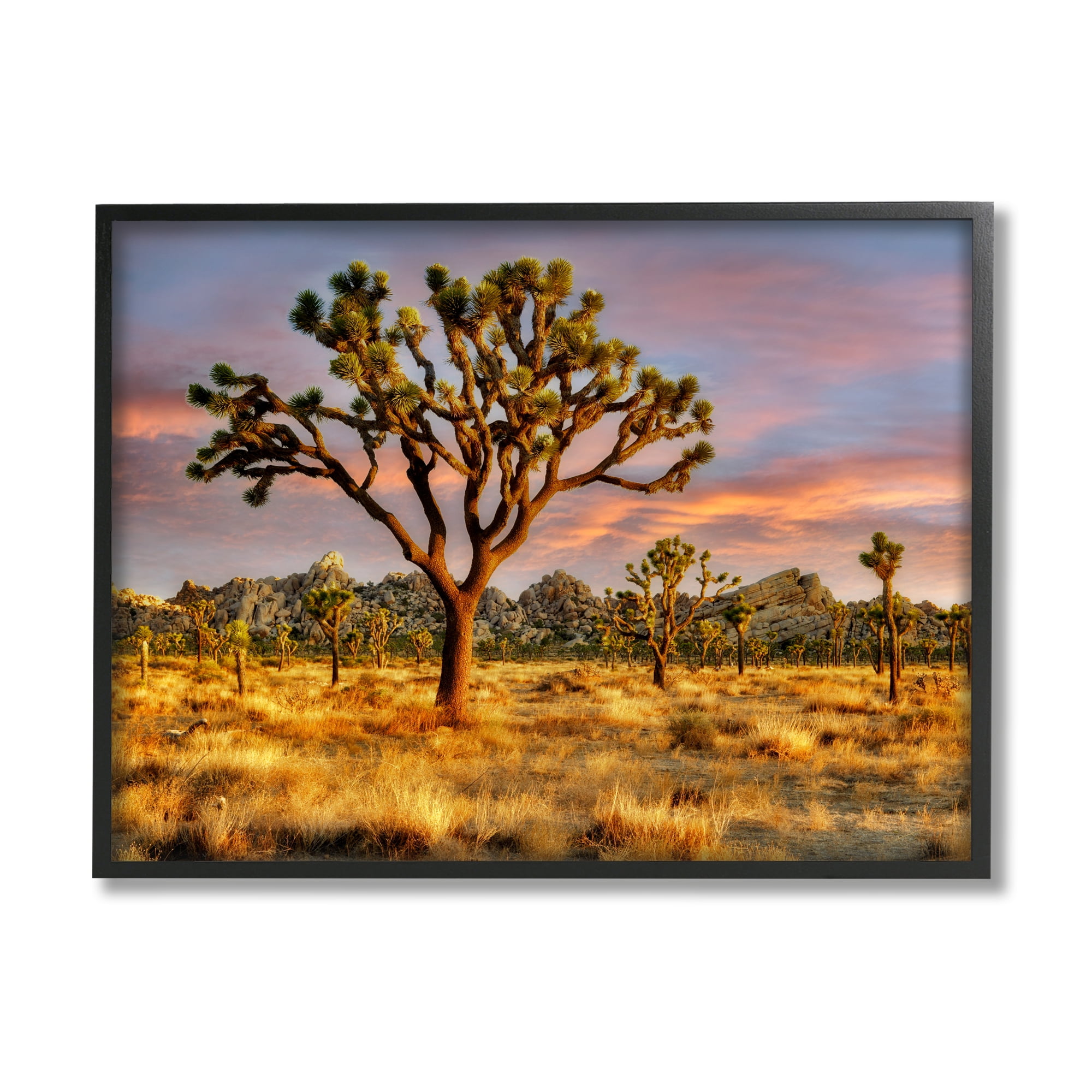 Stupell Industries Savanna Trees Photography Nature Photography Black Framed Art Print Wall Art, 30 x 24