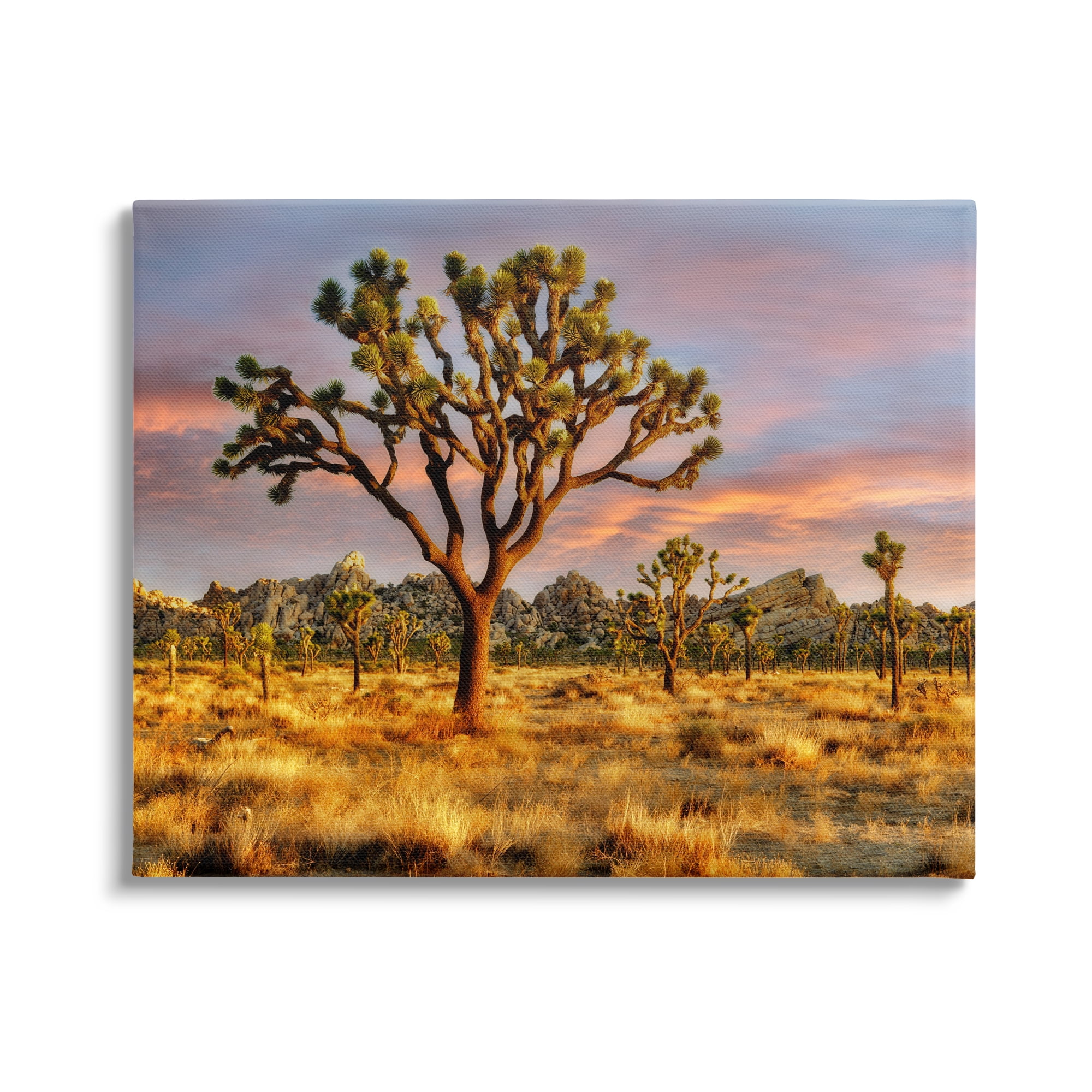 Stupell Industries Savanna Trees Photography Nature Photography Gallery Wrapped Canvas Print Wall Art, 30 x 24