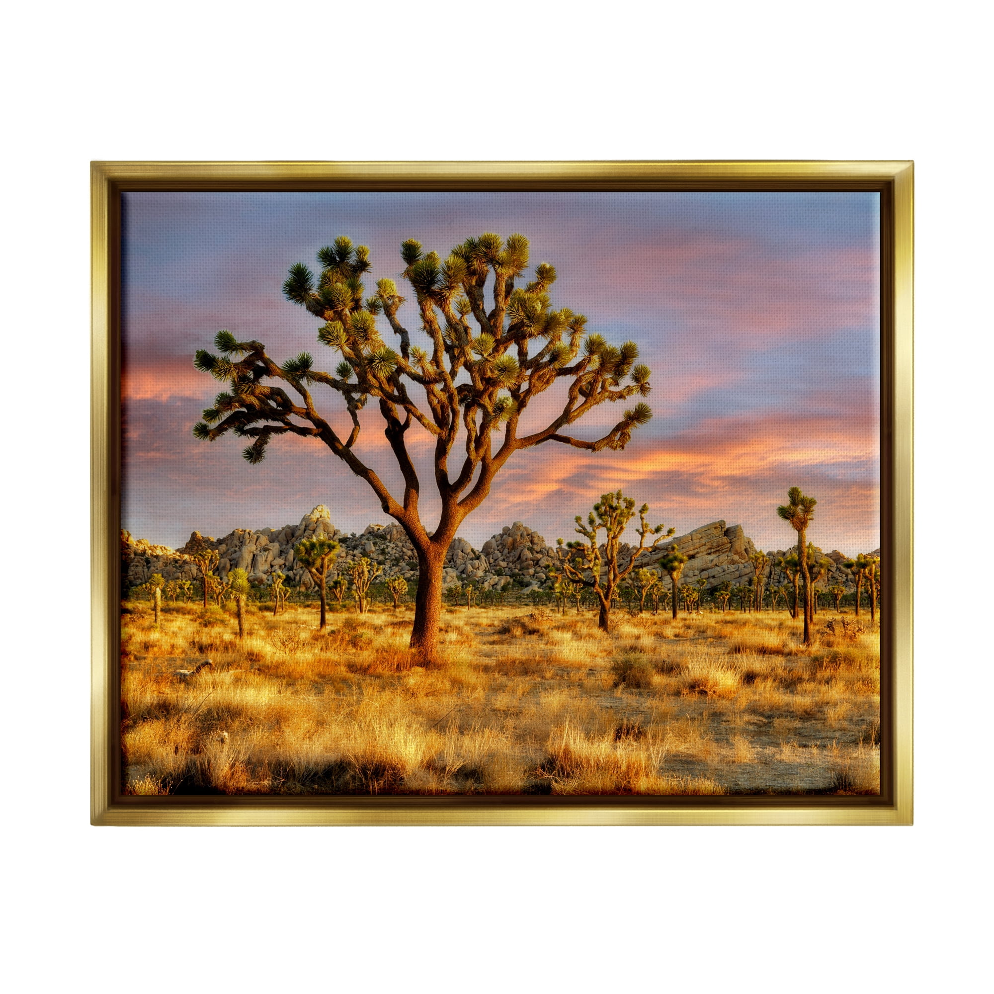 Stupell Industries Savanna Trees Photography Nature Photography Gold Floater Framed Art Print Wall Art, 31 x 25