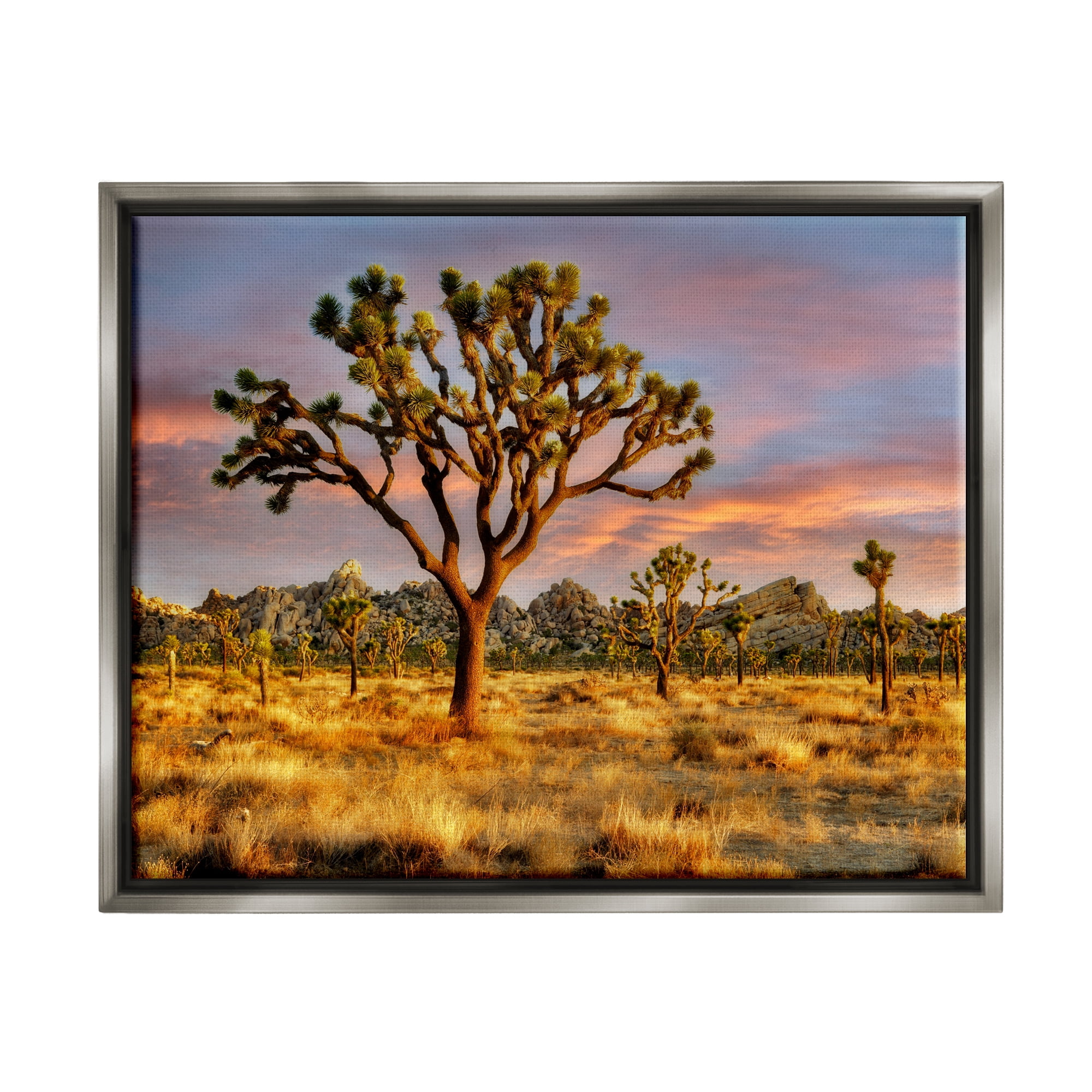Stupell Industries Savanna Trees Photography Nature Photography Gray Floater Framed Art Print Wall Art, 31 x 25
