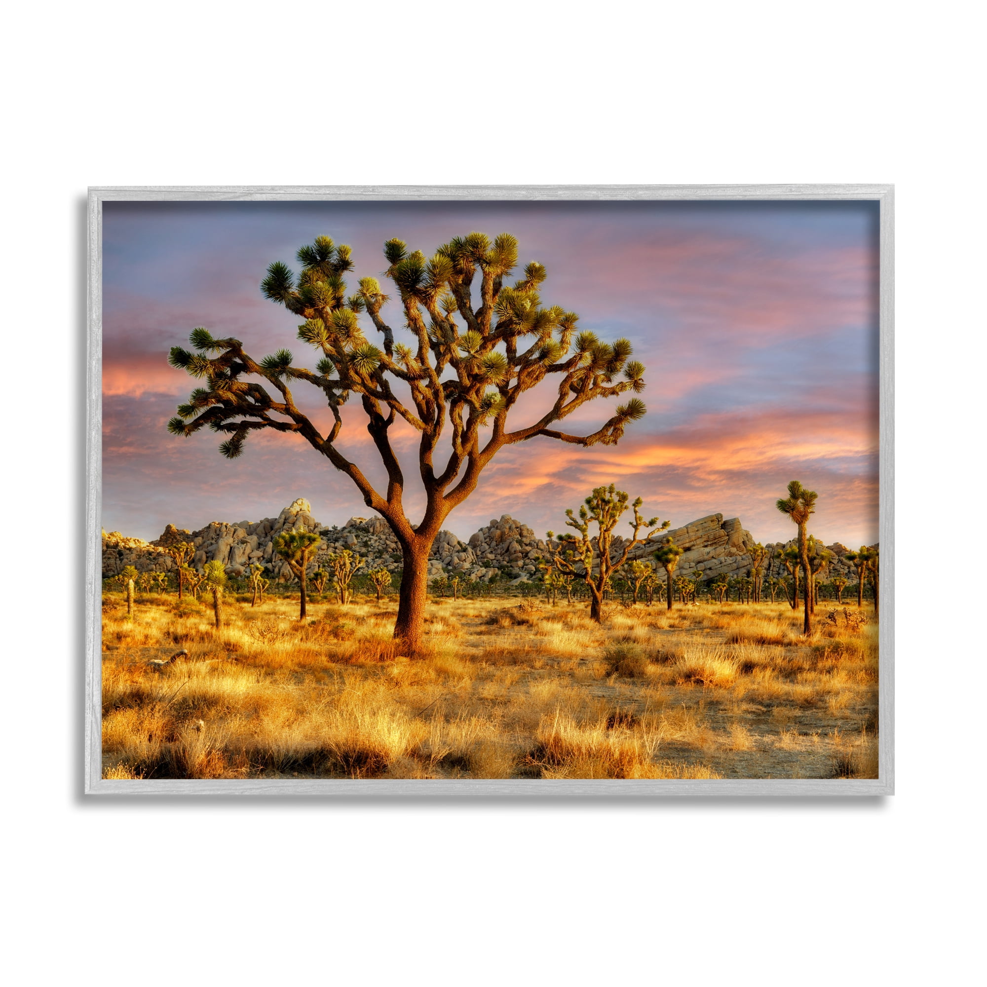 Stupell Industries Savanna Trees Photography Nature Photography Gray Framed Art Print Wall Art, 20 x 16