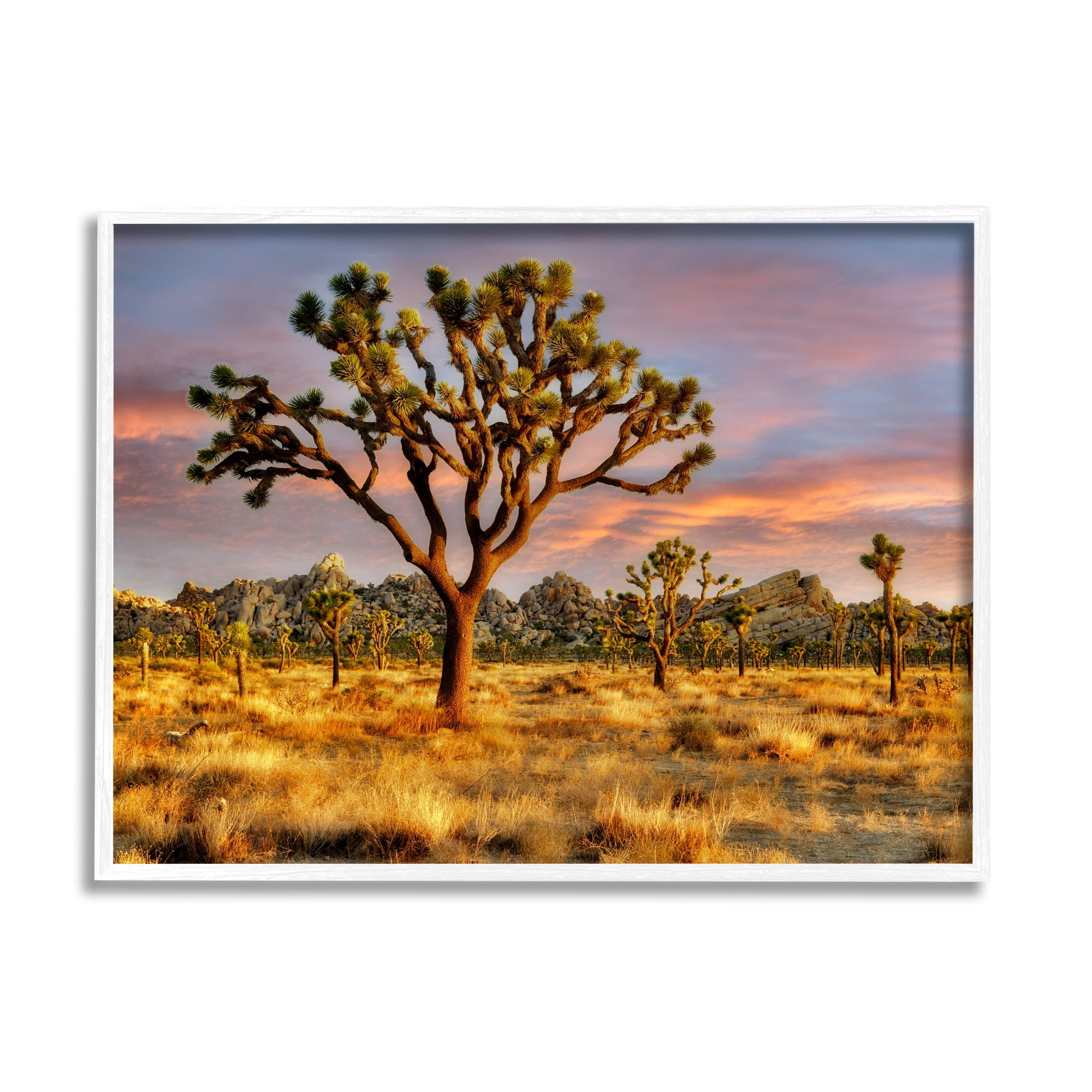 Stupell Industries Savanna Trees Photography Nature Photography White Framed Art Print Wall Art, 30 x 24