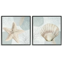 Stupell Industries Scallop Starfish Sealife Nautical & Beach Painting Black Framed Art Print Wall Art, 12 x 12, Set of 2
