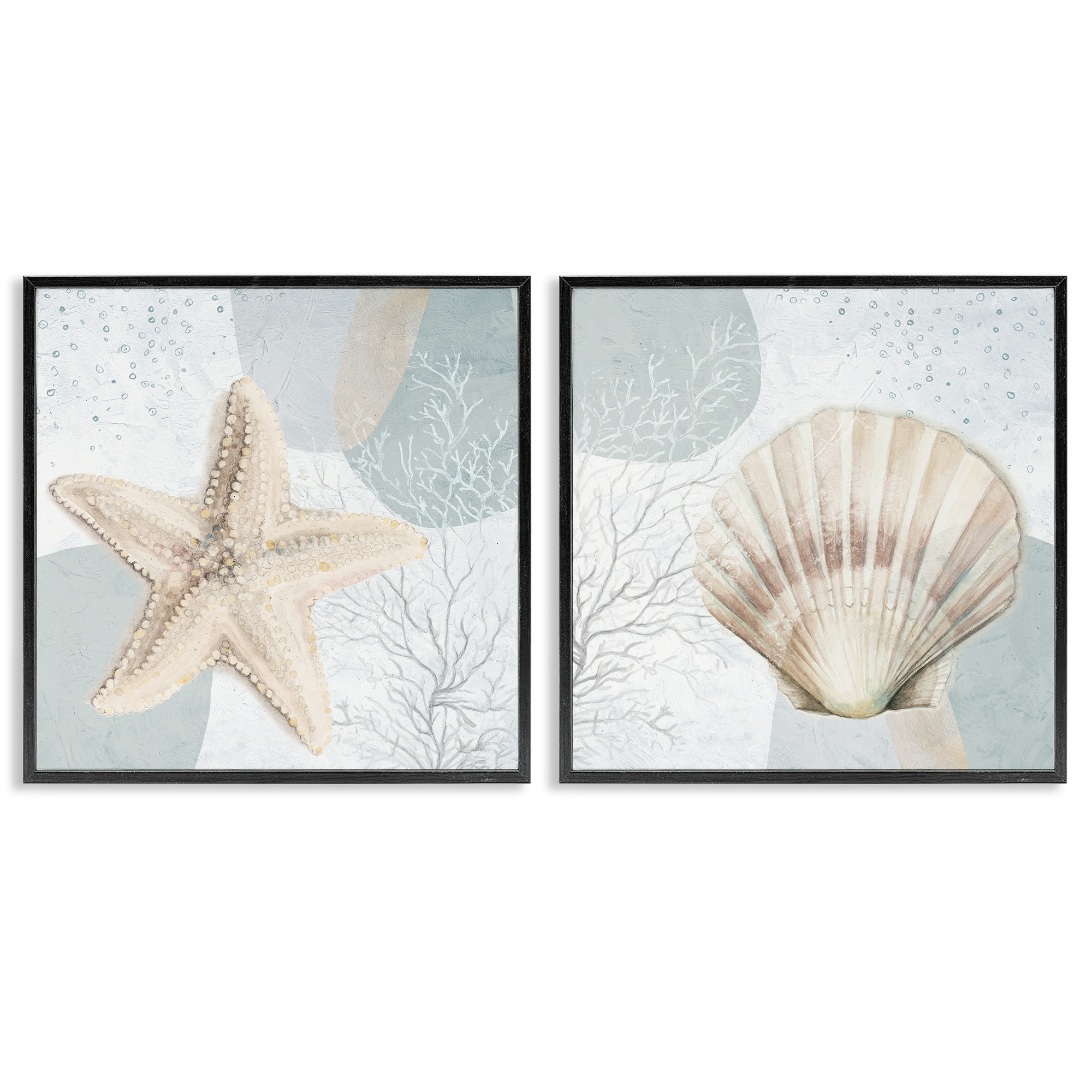 Stupell Industries Scallop Starfish Sealife Nautical & Beach Painting Black Framed Art Print Wall Art, 17 x 17, Set of 2