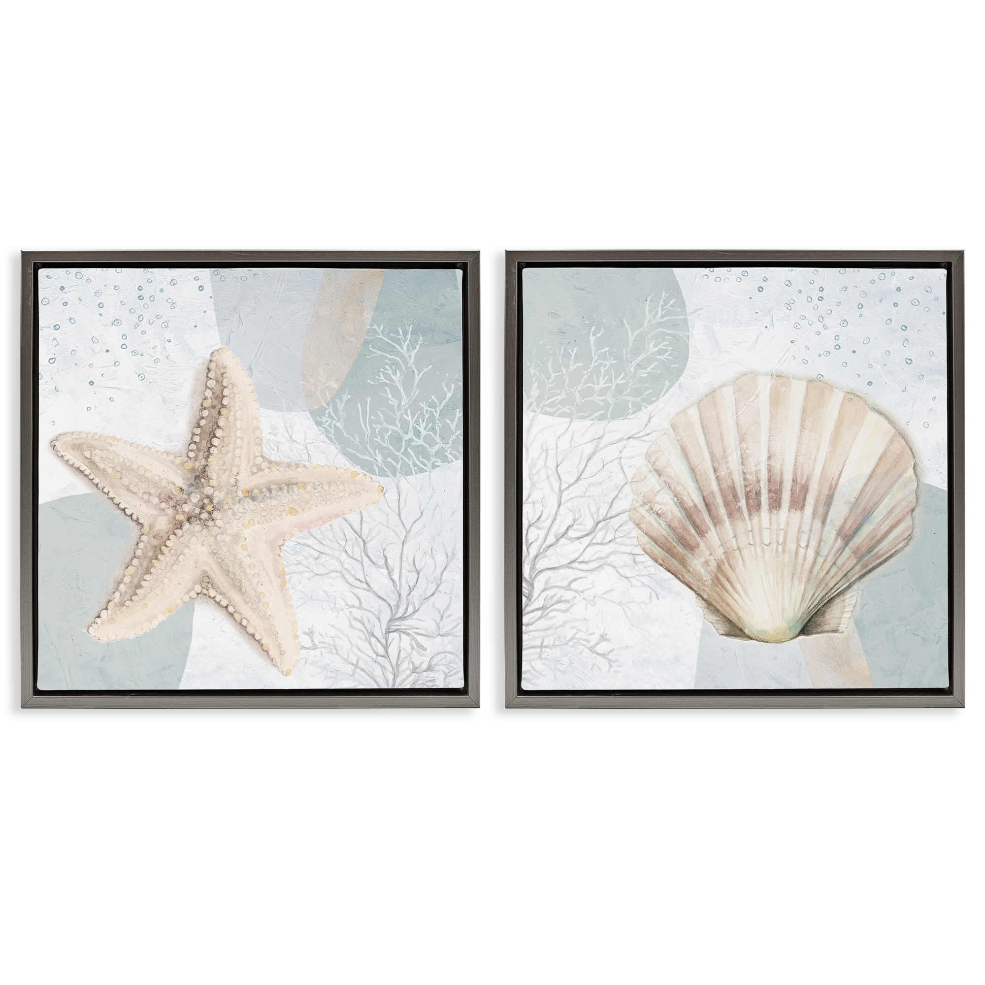 Stupell Industries Scallop Starfish Sealife Nautical & Beach Painting Gray Floater Framed Canvas Art Print Wall Art, 25 x 25, Set of 2