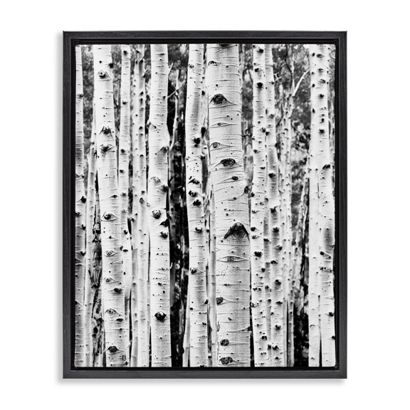 Stupell Industries Scandinavian Birch Trees Forest Black Floating Frame Canvas Art, 25 x 31, by Sisi and Seb