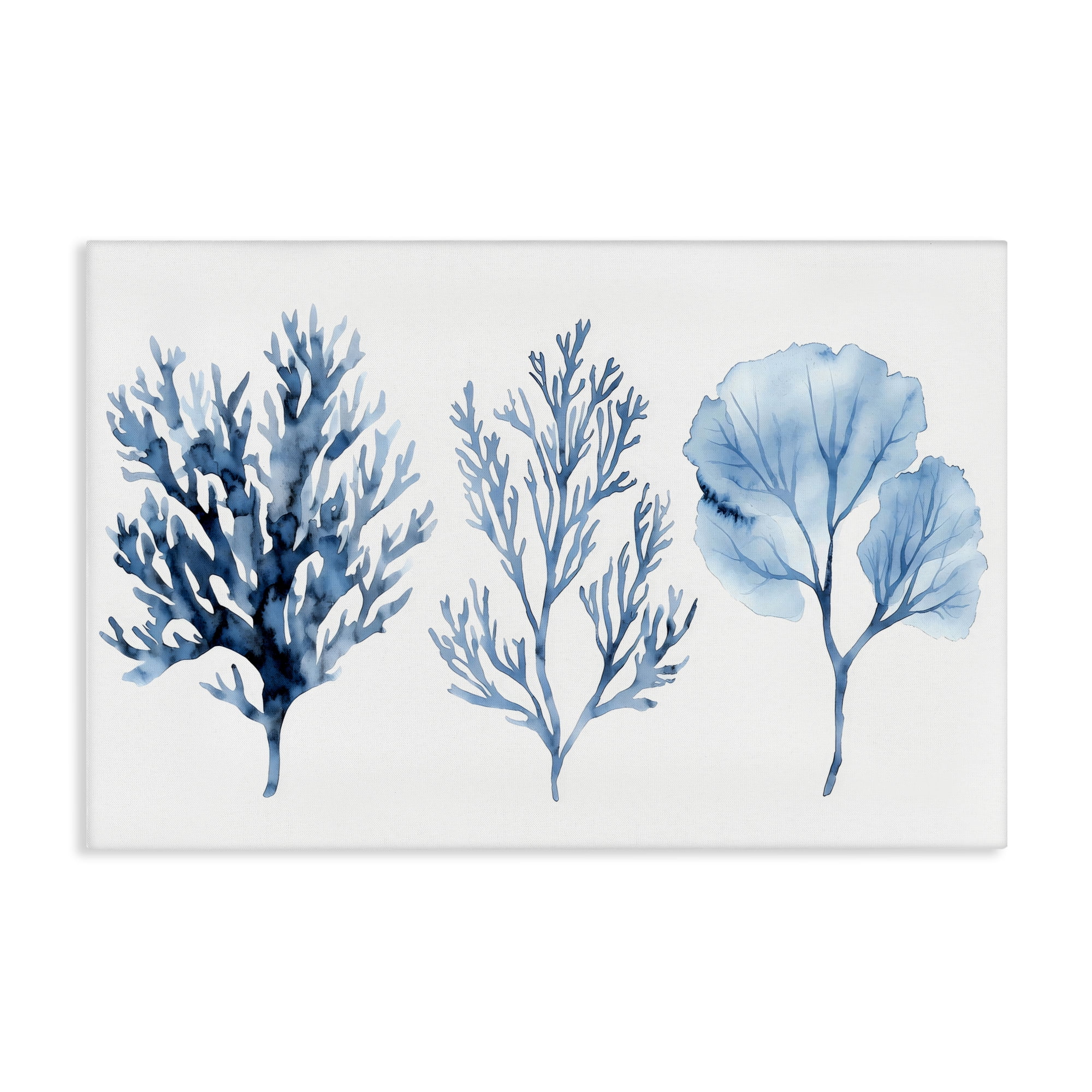 Stupell Industries Scandinavian Blue Coral Types Trio Canvas Art, 24 x ...