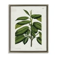 thumbnail image 1 of Stupell Industries Cottage Scientific Woodland Plant Brown Floating Frame Canvas Art, 17 x 21, by Tina Higgins Designs Inc., 1 of 8