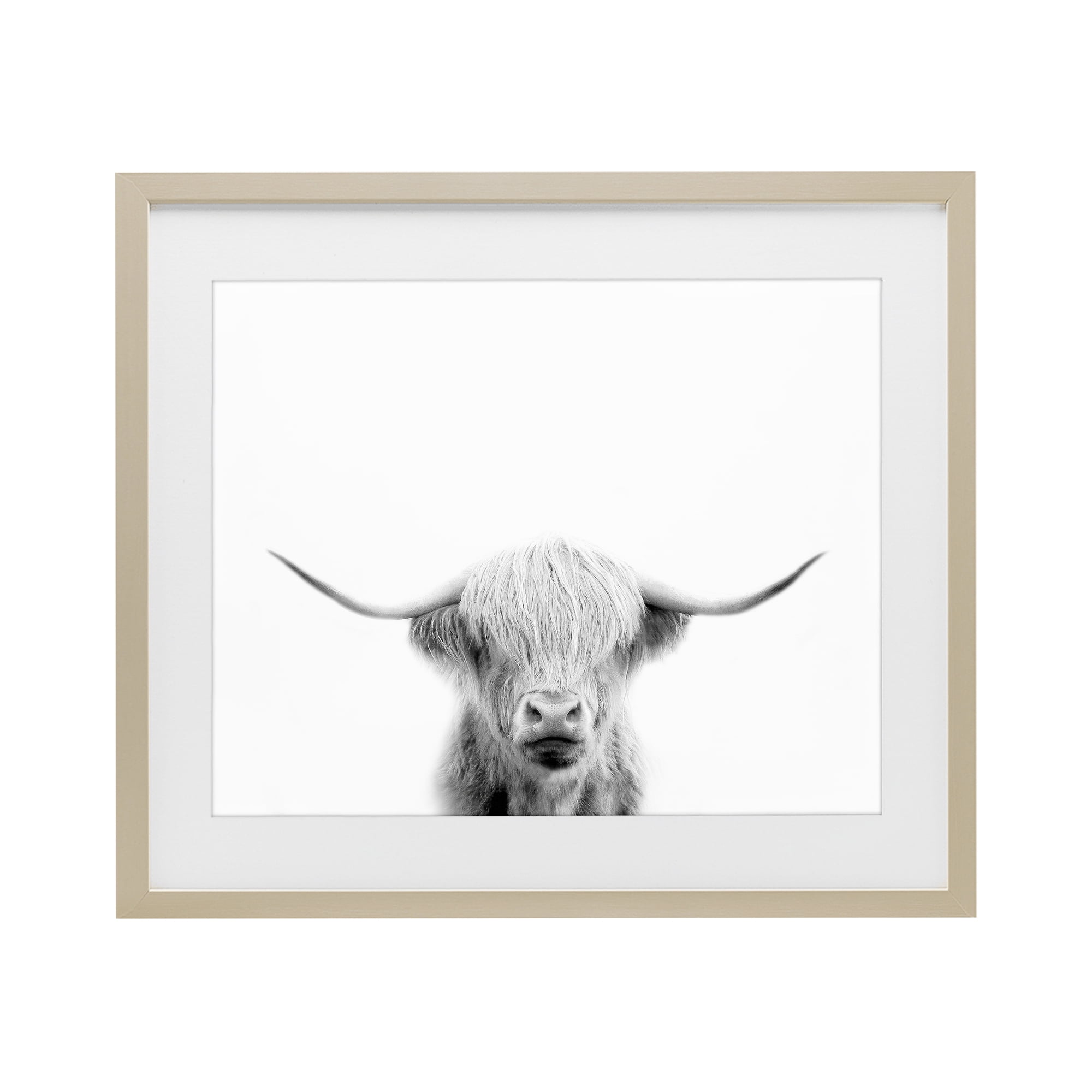 Stupell Industries Scottish Cow Portrait Birch Framed Print Under Glass, design by Leah Straatsma