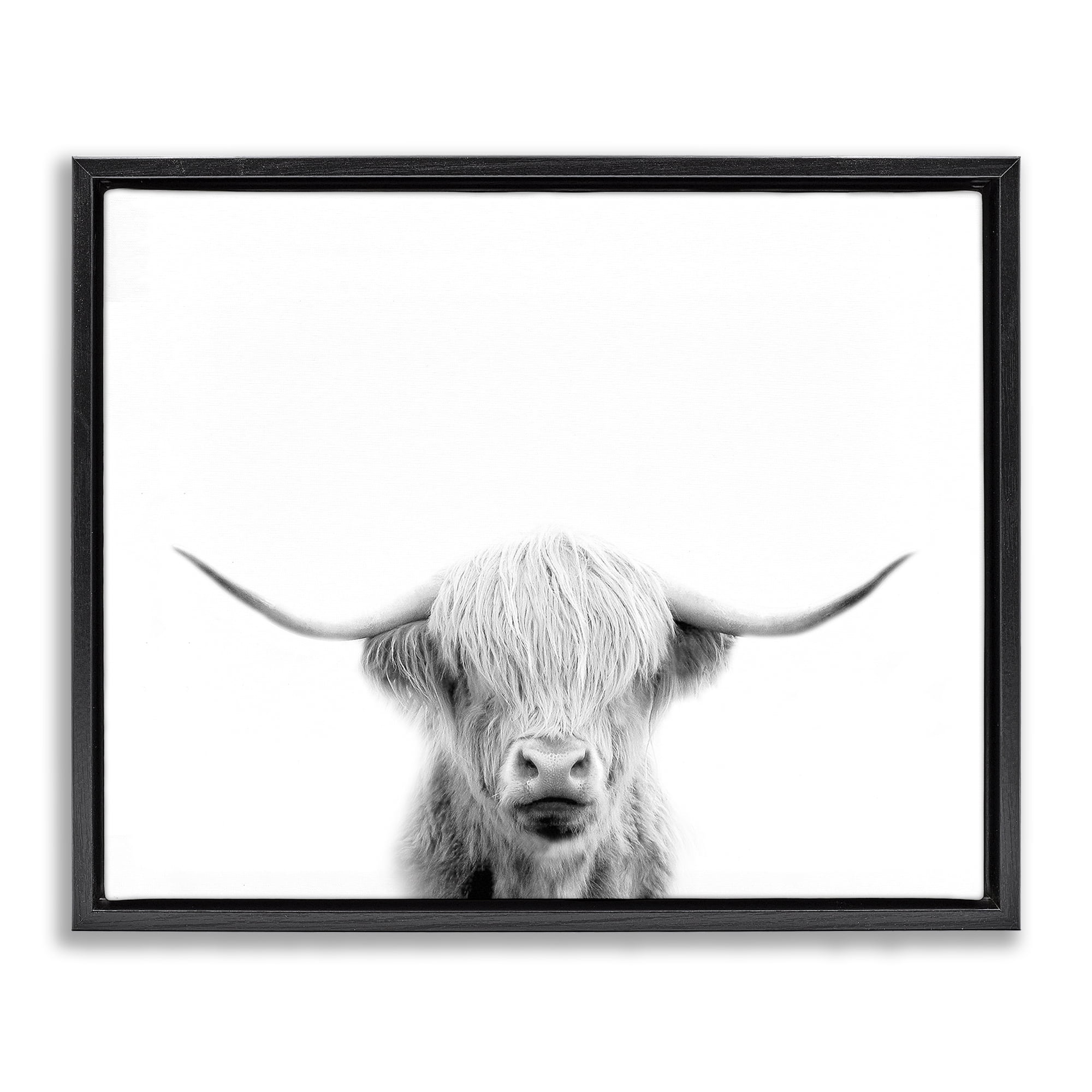 Stupell Industries Scottish Cow Portrait Black Framed Floater Canvas Wall Art, design by Leah Straatsma
