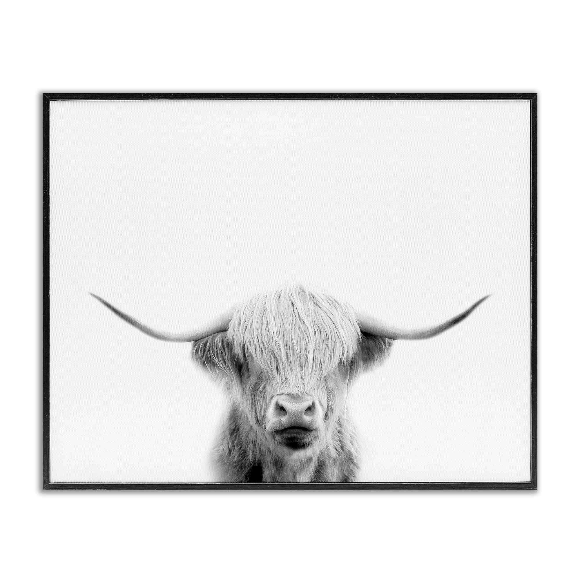 Stupell Industries Scottish Cow Portrait Black Framed Giclee Art, design by Leah Straatsma