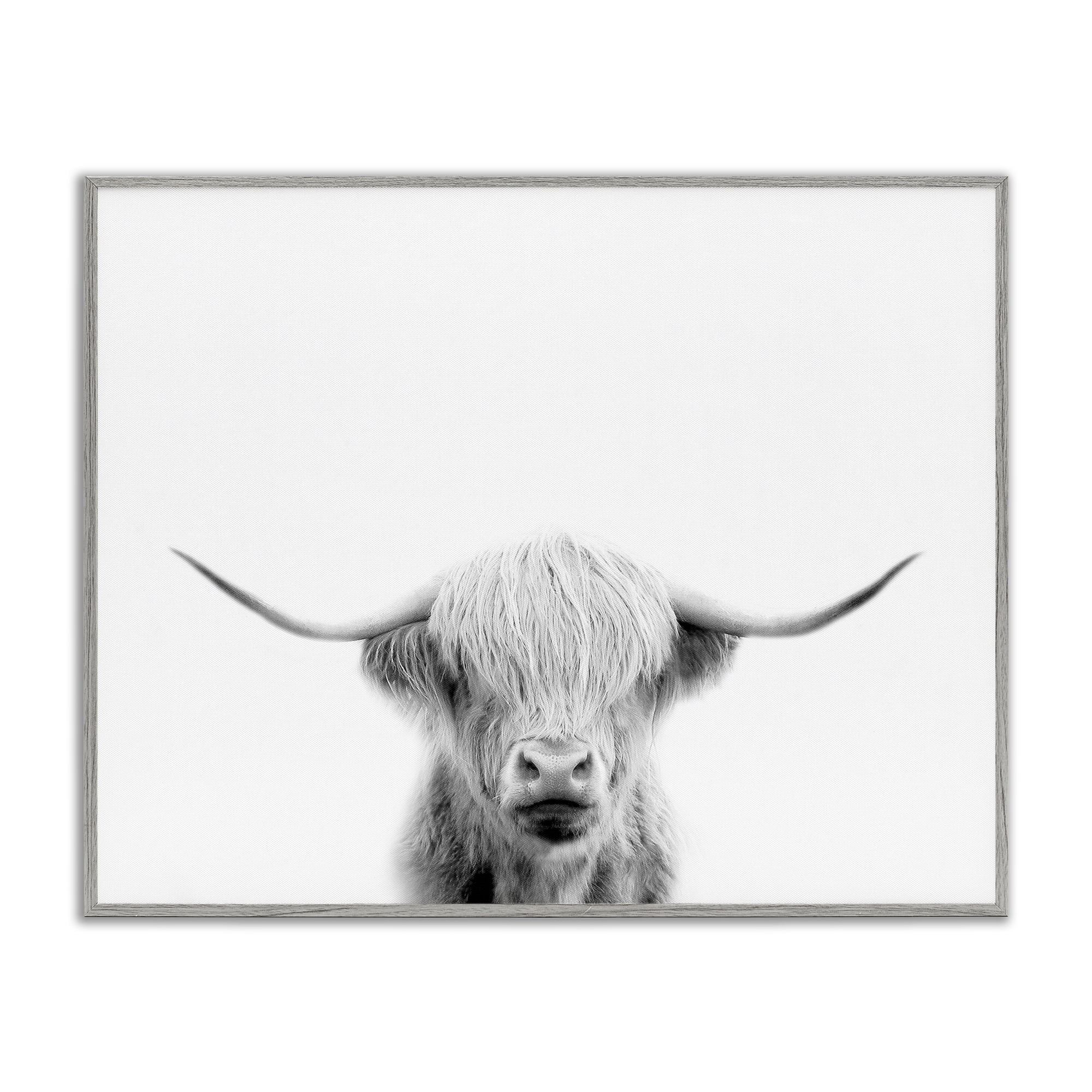 Stupell Industries Scottish Cow Portrait Gray Framed Giclee Art, design by Leah Straatsma