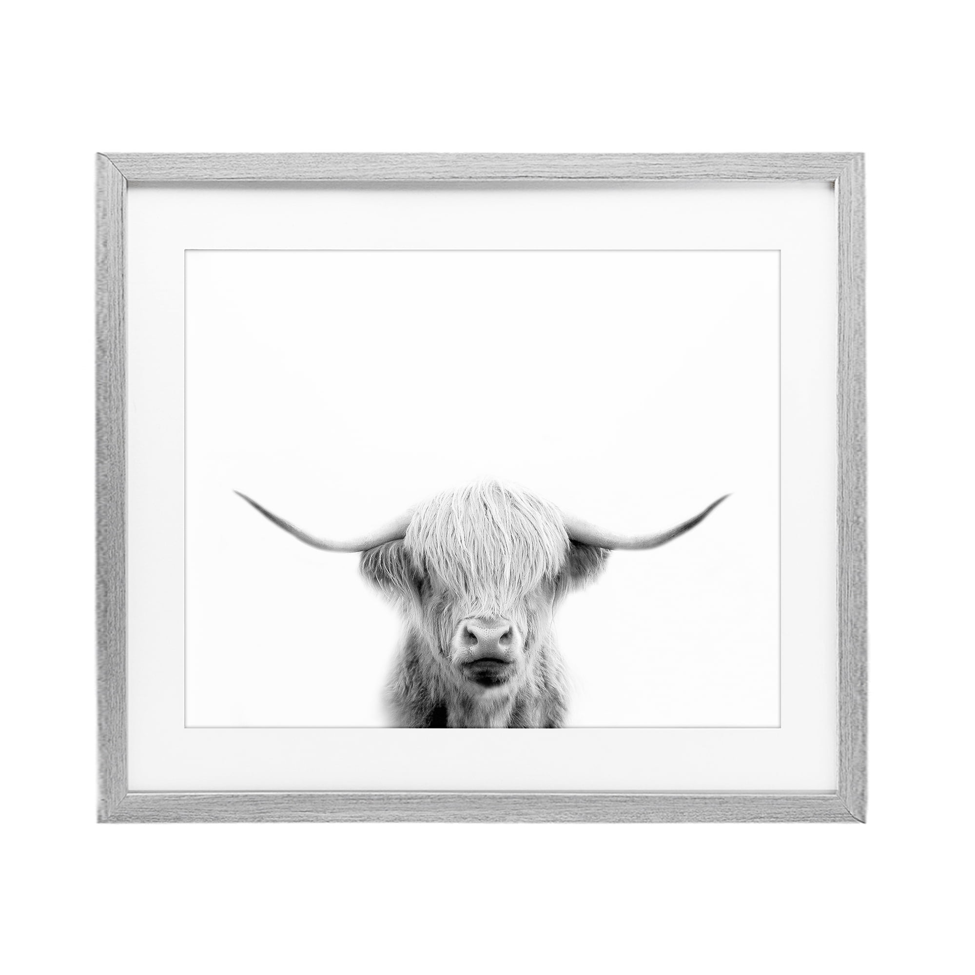 Stupell Industries Scottish Cow Portrait Gray Framed Print Under Glass, design by Leah Straatsma
