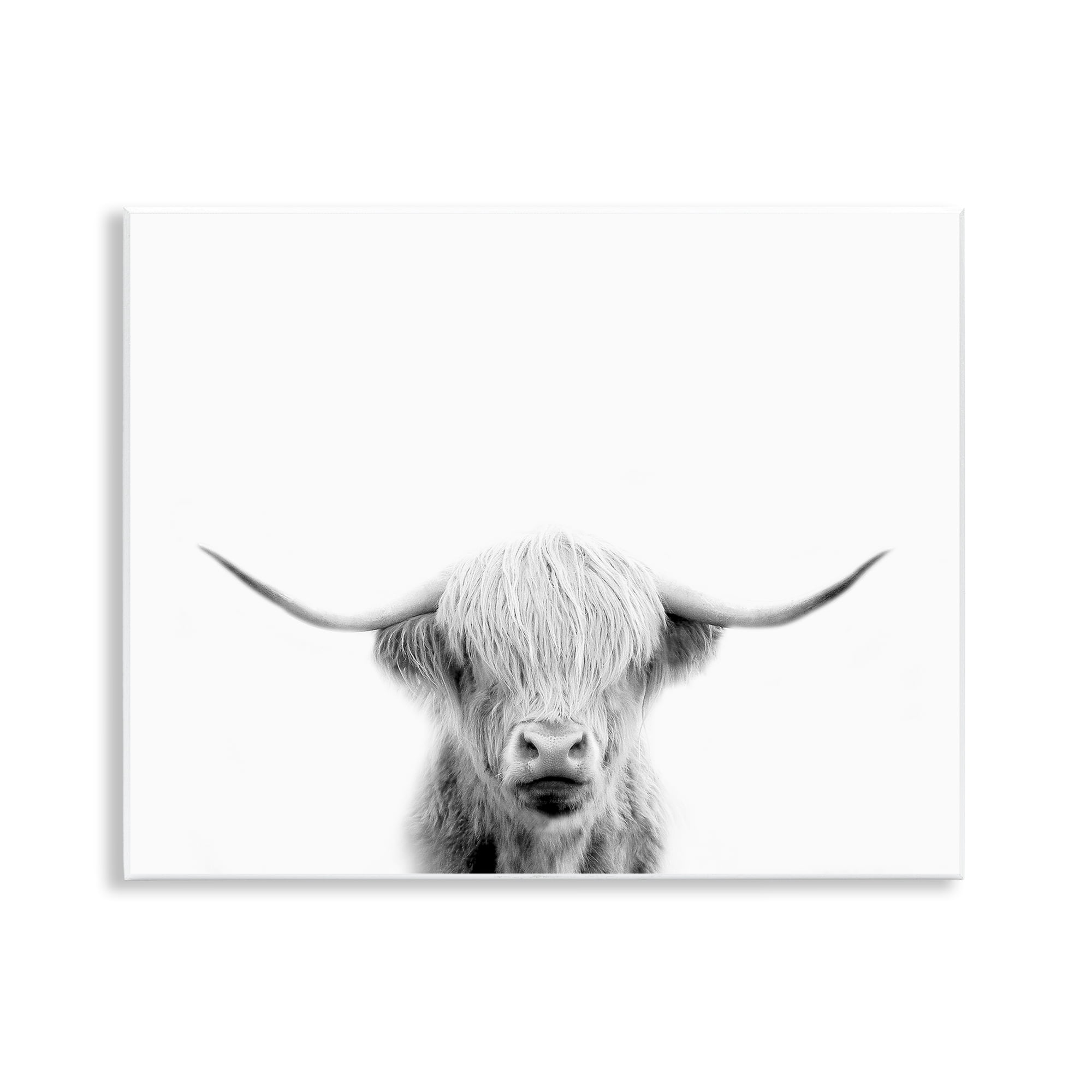 Stupell Industries Scottish Cow Portrait Wall Plaque Art, design by Leah Straatsma