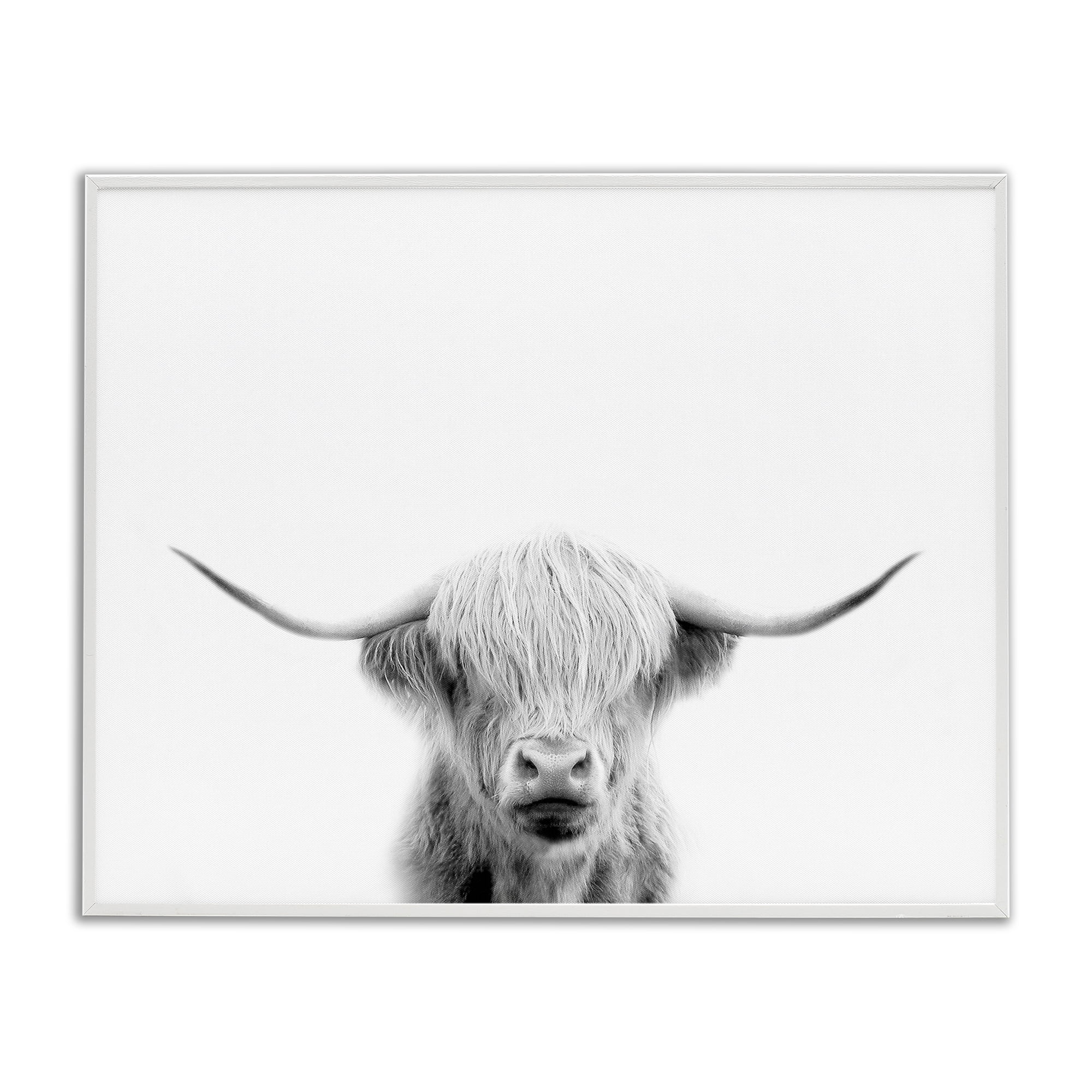 Stupell Industries Scottish Cow Portrait White Framed Giclee Art, design by Leah Straatsma