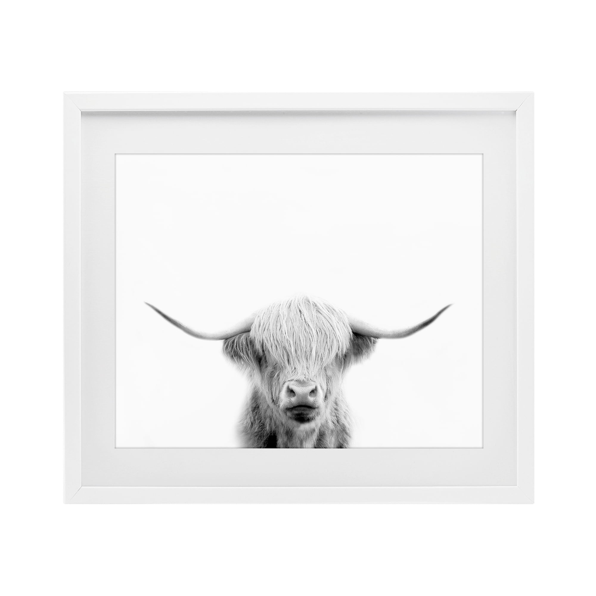 Stupell Industries Scottish Cow Portrait White Framed Print Under Glass, design by Leah Straatsma