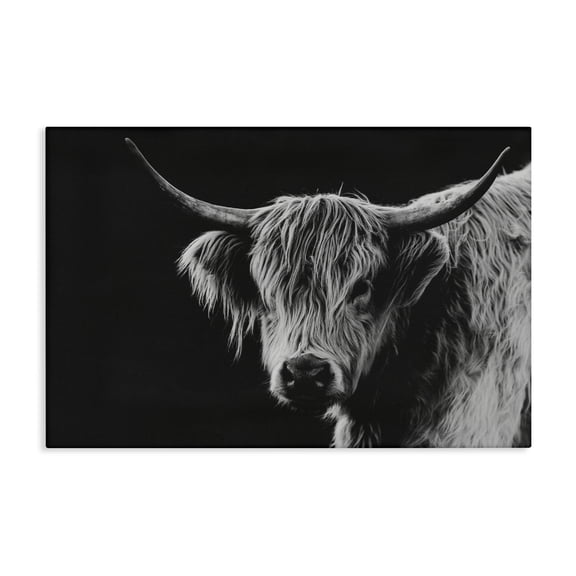 Stupell Industries Scottish Highland Cattle Canvas Wall Art design by Crystal Lynn Collins, 24 x 36