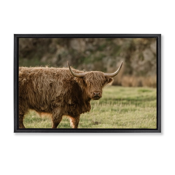 Stupell Industries Scottish Highland Grazing Black Framed Floater Canvas Wall Art design by Crystal Lynn Collins, 21 x 31
