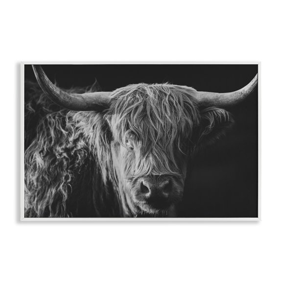 Stupell Industries Scottish Highland Portrait White Framed Giclee Art design by Crystal Lynn Collins, 16 x 24