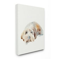Stupell Industries Scruffy Dog Laying Down House Pet Painting Design by Jennifer Paxton Parker, 24" x 30"