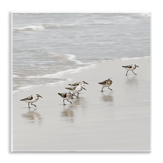 Stupell Industries Scurrying Sandpiper Birds Wall Plaque Art design by Natalie Carpentieri, 12 x 12