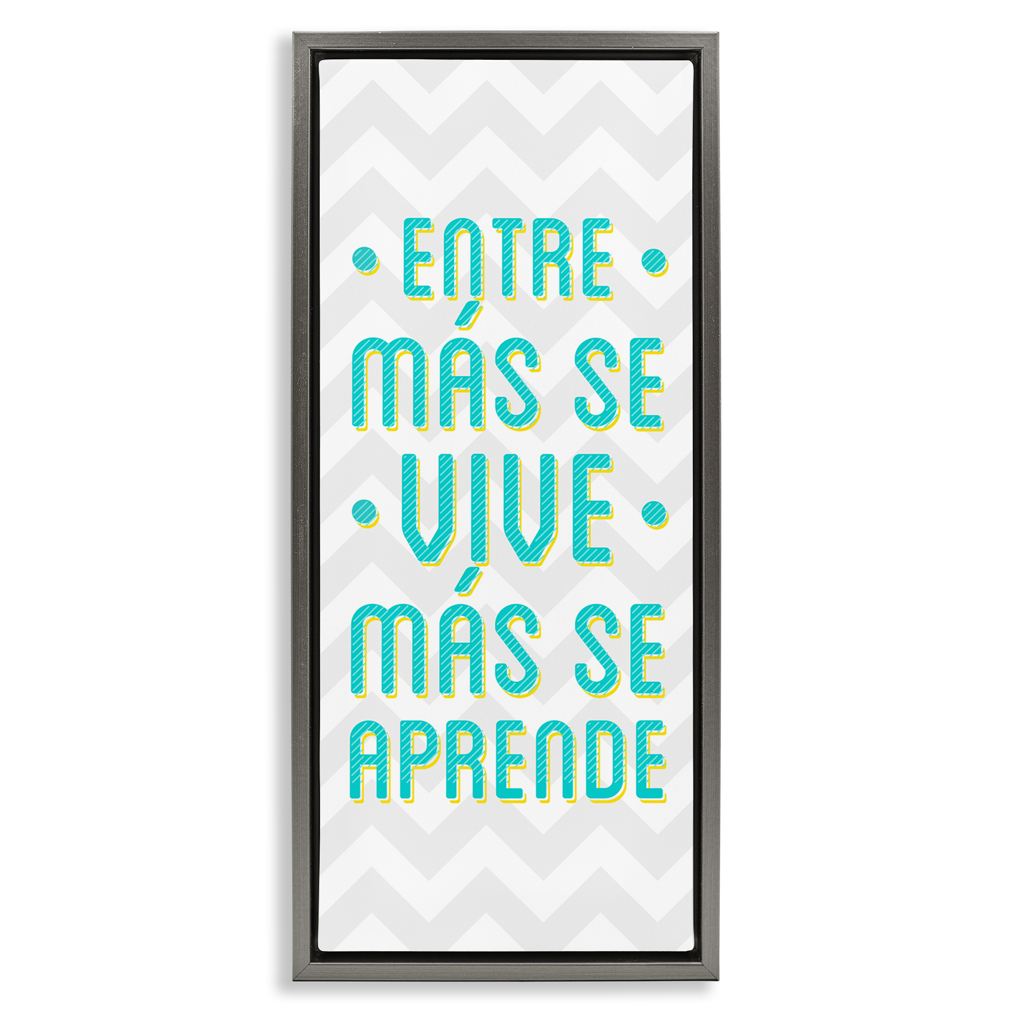 Stupell Industries Se Vive Se Aprende Inspirational Quotes & Sayings Painting Gray Floater Framed Art Print Wall Art, 14 x 31