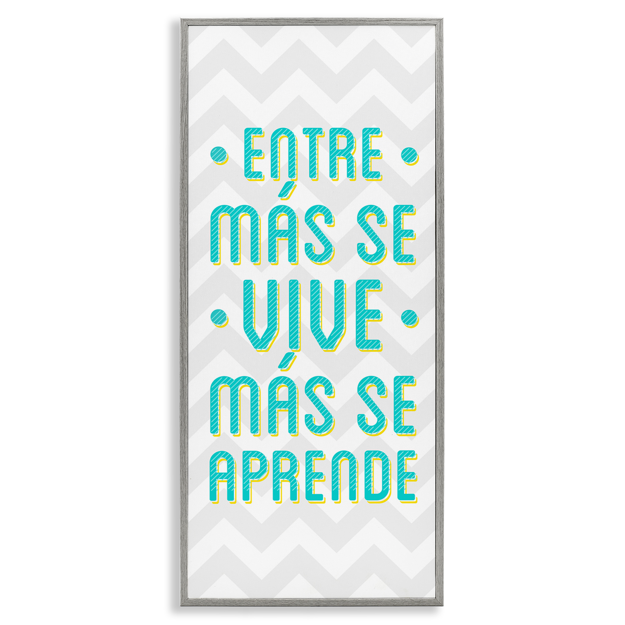 Stupell Industries Se Vive Se Aprende Inspirational Quotes & Sayings Painting Gray Framed Art Print Wall Art, 10 x 24