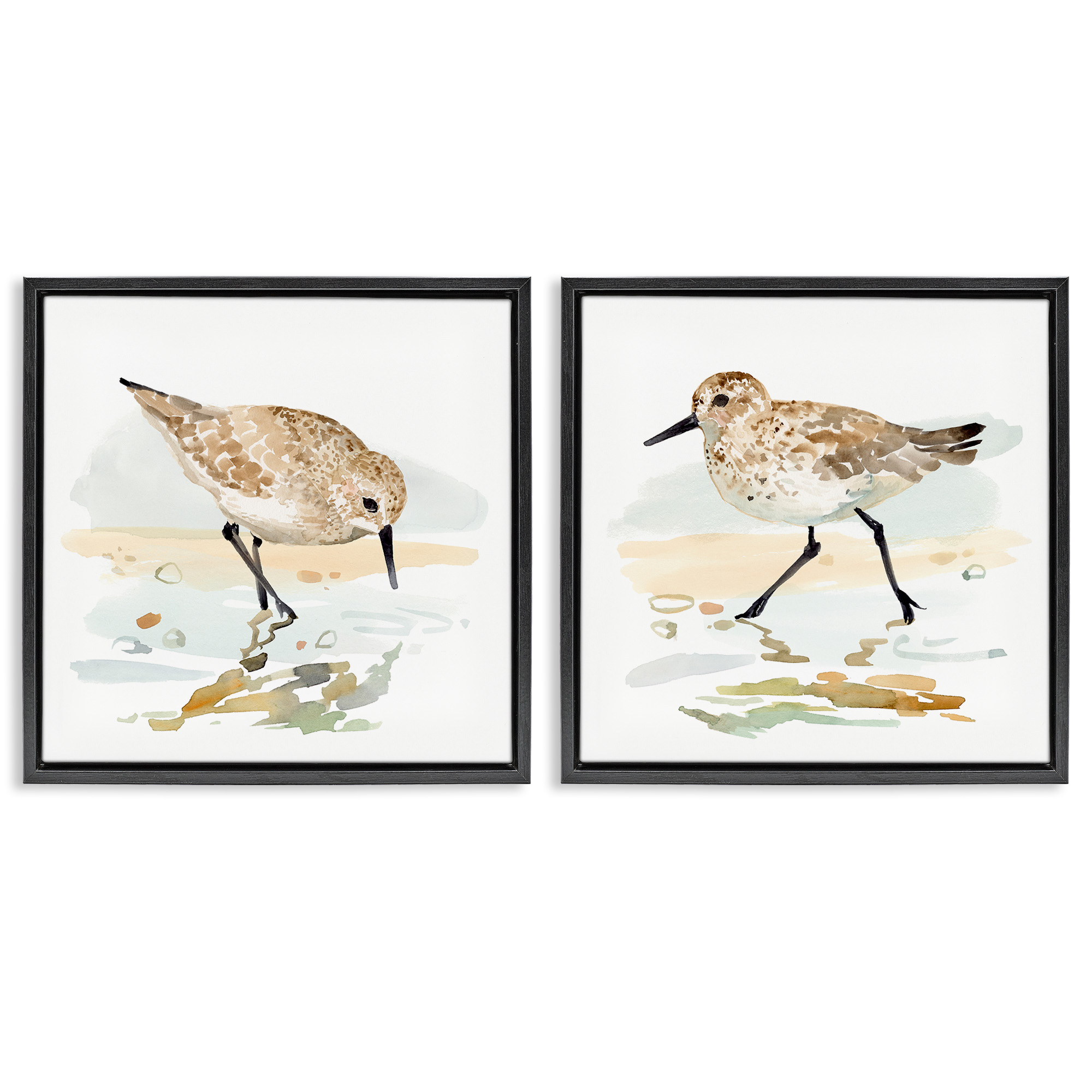 Stupell Industries Sea Birds on Shore Animals & Insects Painting Black Floater Framed Canvas Art Print Wall Art, 18 x 18, Set of 2