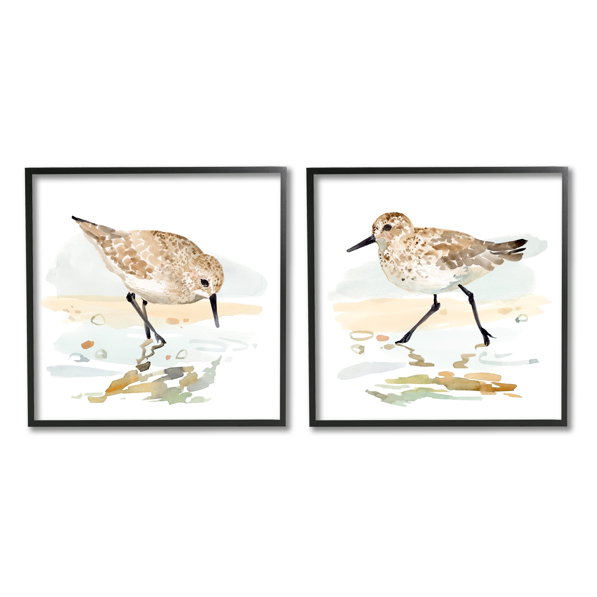 Stupell Industries Sea Birds on Shore Animals & Insects Painting Black Framed Art Print Wall Art, 17 x 17