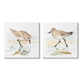 thumbnail image 1 of Stupell Industries Sea Birds on Shore Animals & Insects Painting Gallery Wrapped Canvas Art Print Wall Art, 24 x 24, Set of 2, 1 of 8